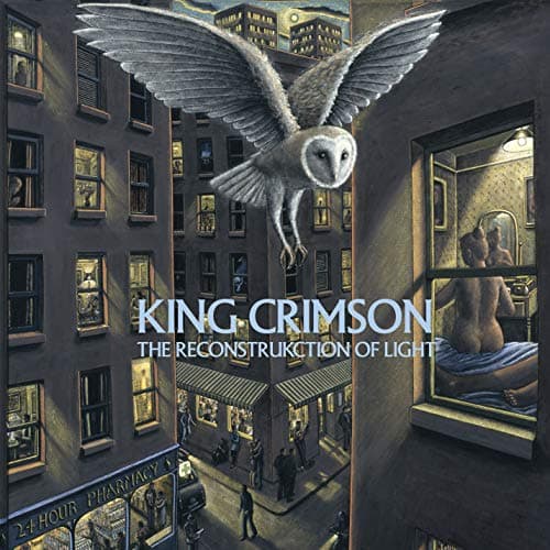 The ReconstruKction of Light (200 Gramm Vinyl) [Vinyl LP]