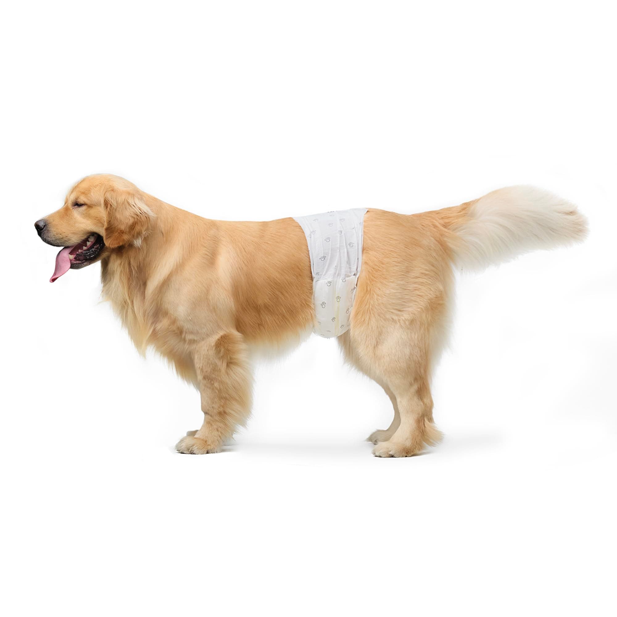 Amazon Basics Pannolini usa e getta per cani maschi, L, Confezione da 30, Bianco