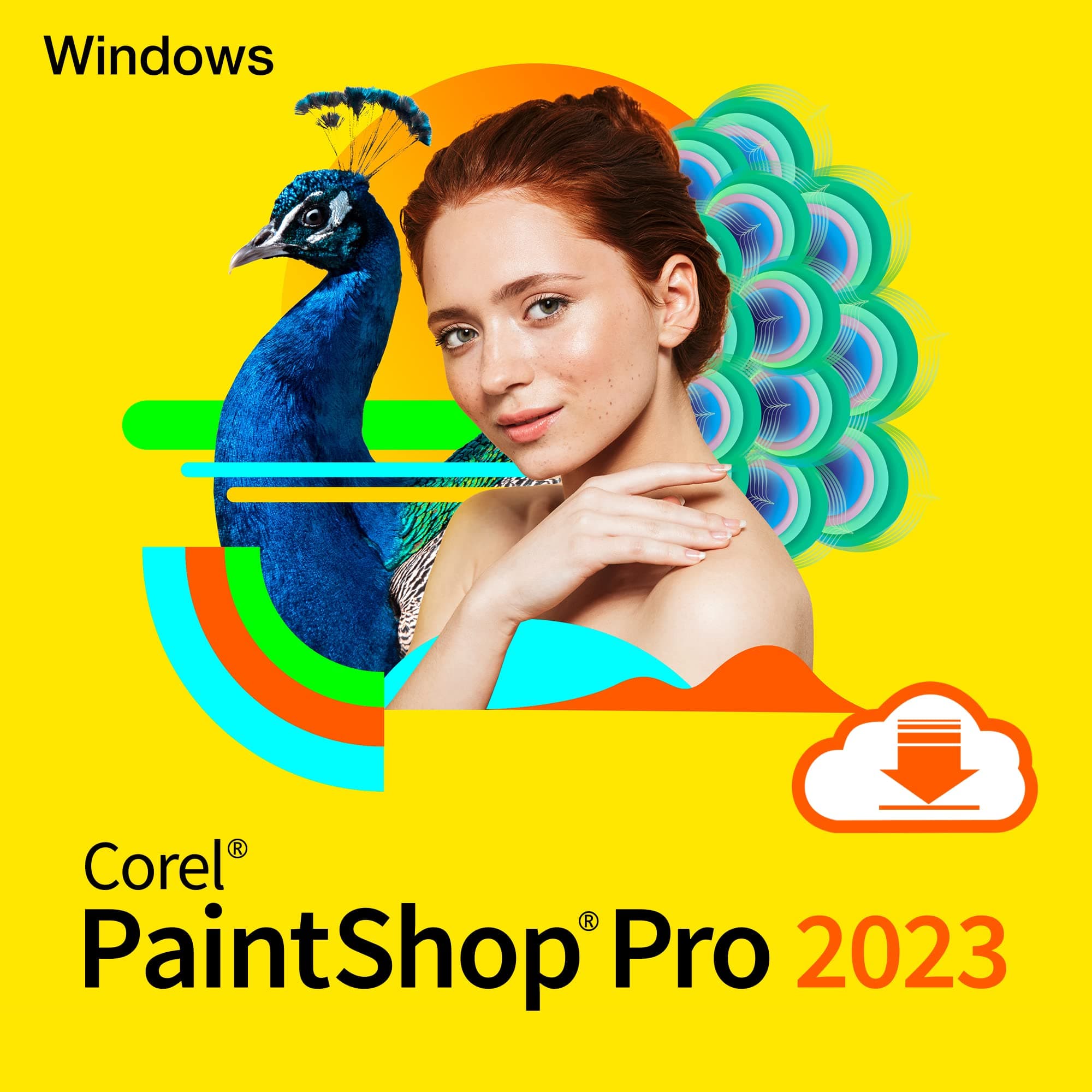 Corel PaintShop Pro Standard, Photo Editing & Graphic Design, Digitaler download