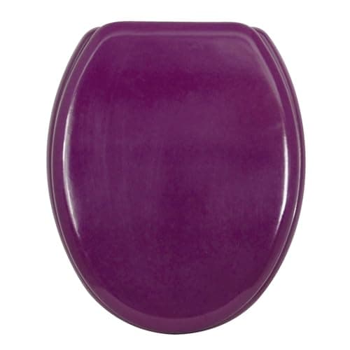 Well Home Asiento WC, con bisagras acero inoxidable, acabado, color morado