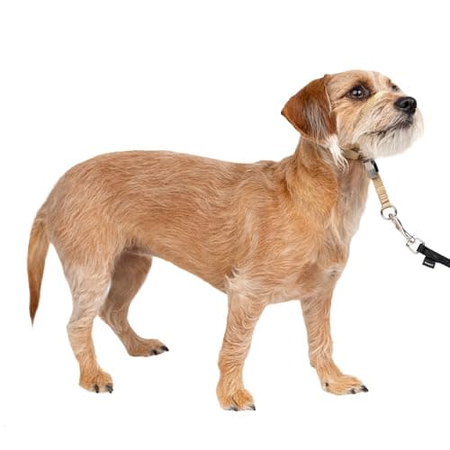 PetSafe Sanfter Führer Halsband mit Trainings-DVD
